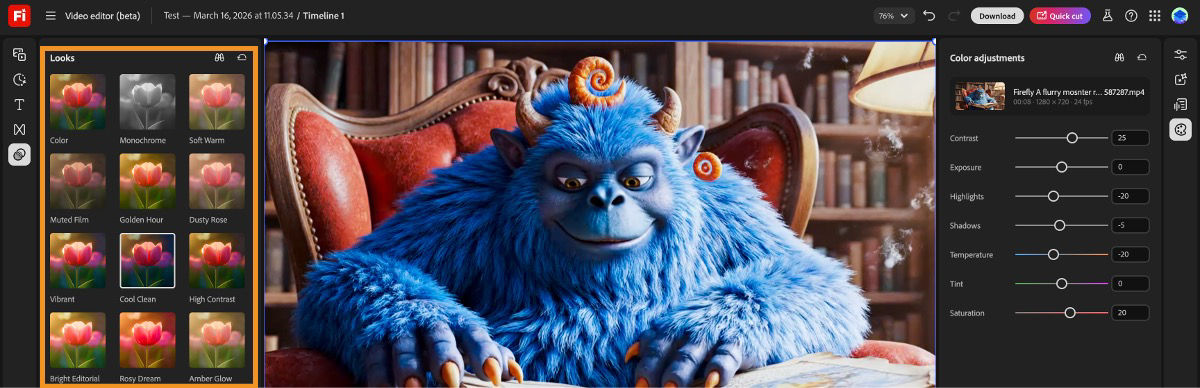 The Firefly video editor displays the Looks panel on the left side of the viewer, with a number of predefined presets.