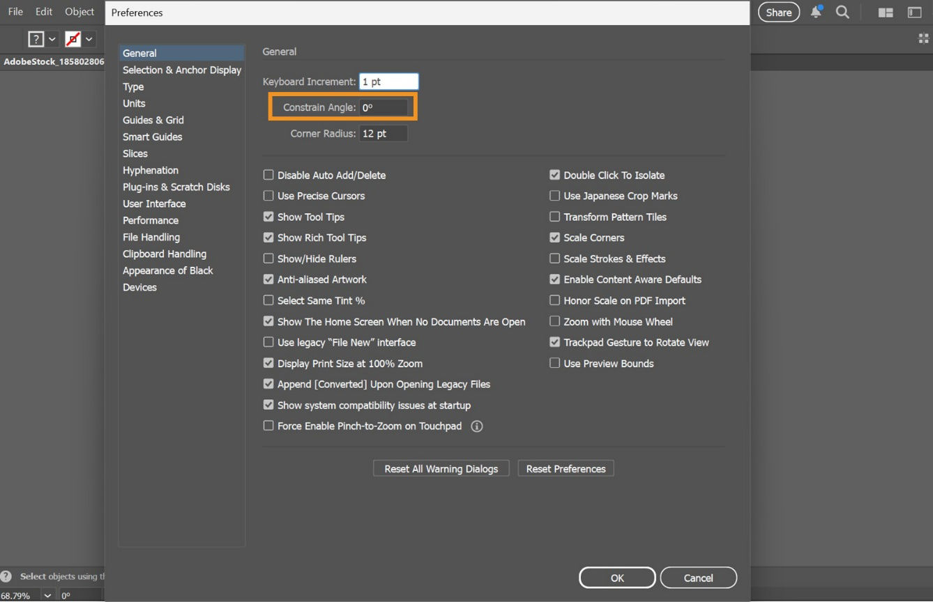 The General Preferences dialog box is displayed on the screen highlighting settings such as Keyboard Increment, Constrain Angle, and more.