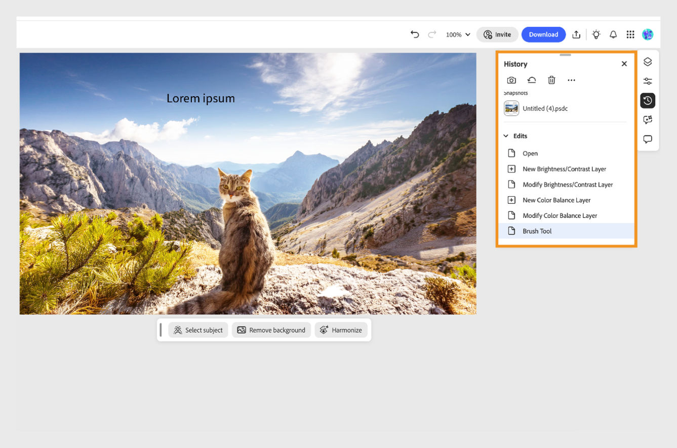The History panel displays different editing states and tools like Create snapshot, Reset, and more.
