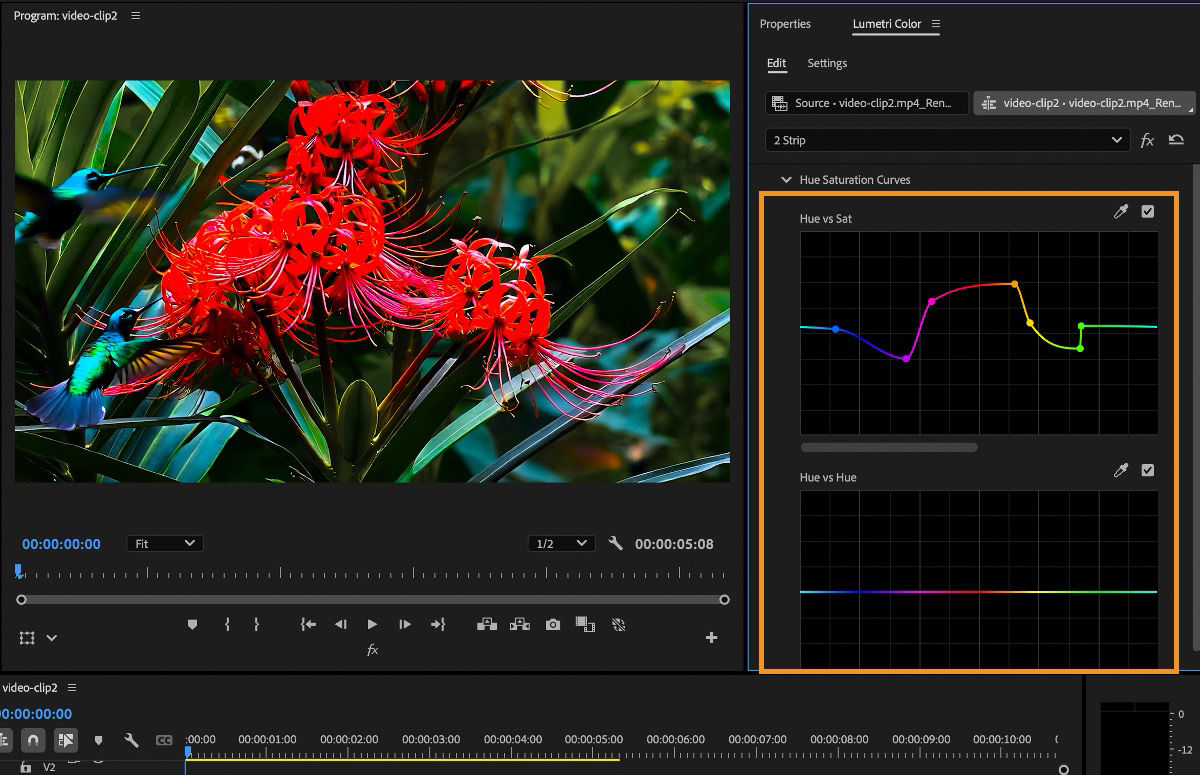 The Hue vs Sat under the Hue Saturation Cureves in the Lumetri Color panel is adjusted to selectively edit the saturation of any hue within an image.