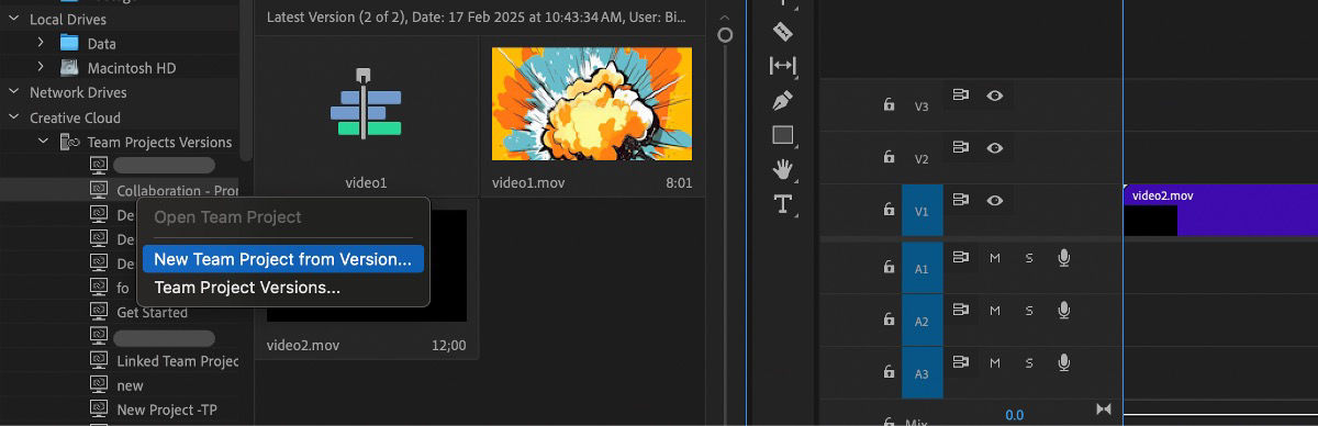 The Media Browser is currently open, with navigation set to the project's latest version using the vertical slider, enabling you to browse through all available versions.