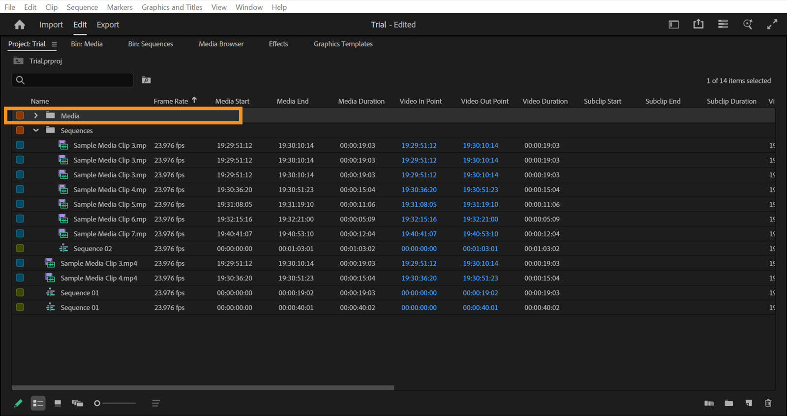The Media folder is highlighted in the Project panel. The Media folder can be used to store offline videos.