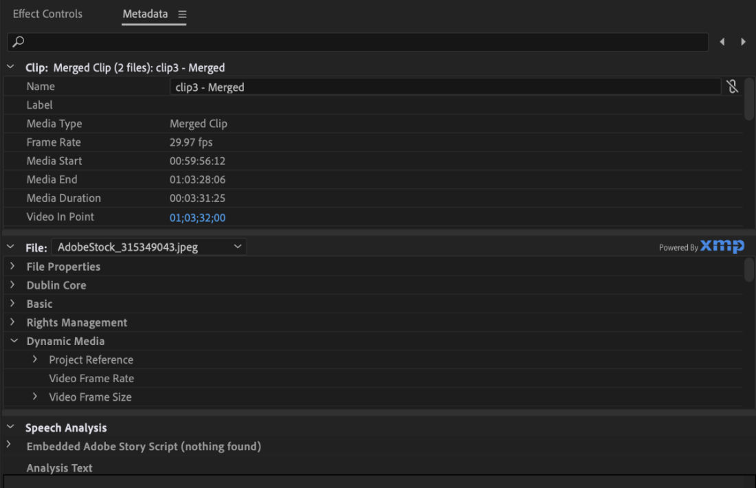 The Metadata panel shows the metadata details of the merged clips. It includes clip details such as name, media type, file properties, and copyrights.