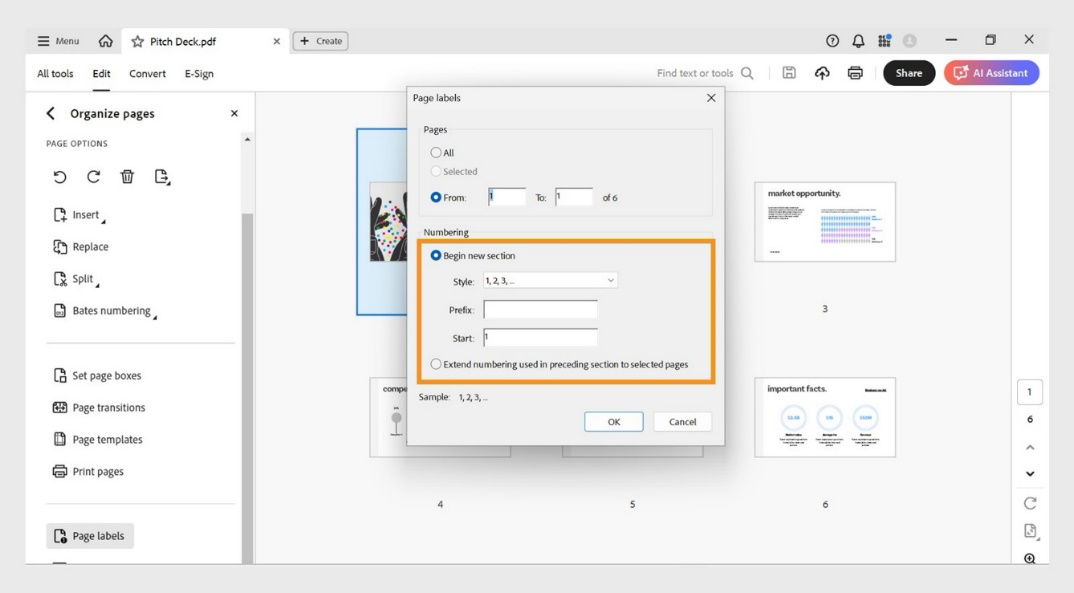The Organize pages panel shows the Page labels dialog with options to begin a new section or extend the numbering used in the preceding section.