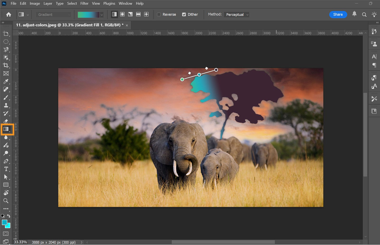 The Photoshop workspace displays the Gradient Fill layer applied to an image, with gradient options visible in the options bar.

The Photoshop workspace shows the Gradient tool selected, with the options bar displaying controls for customizing the gradient and applying a Gradient Fill layer.