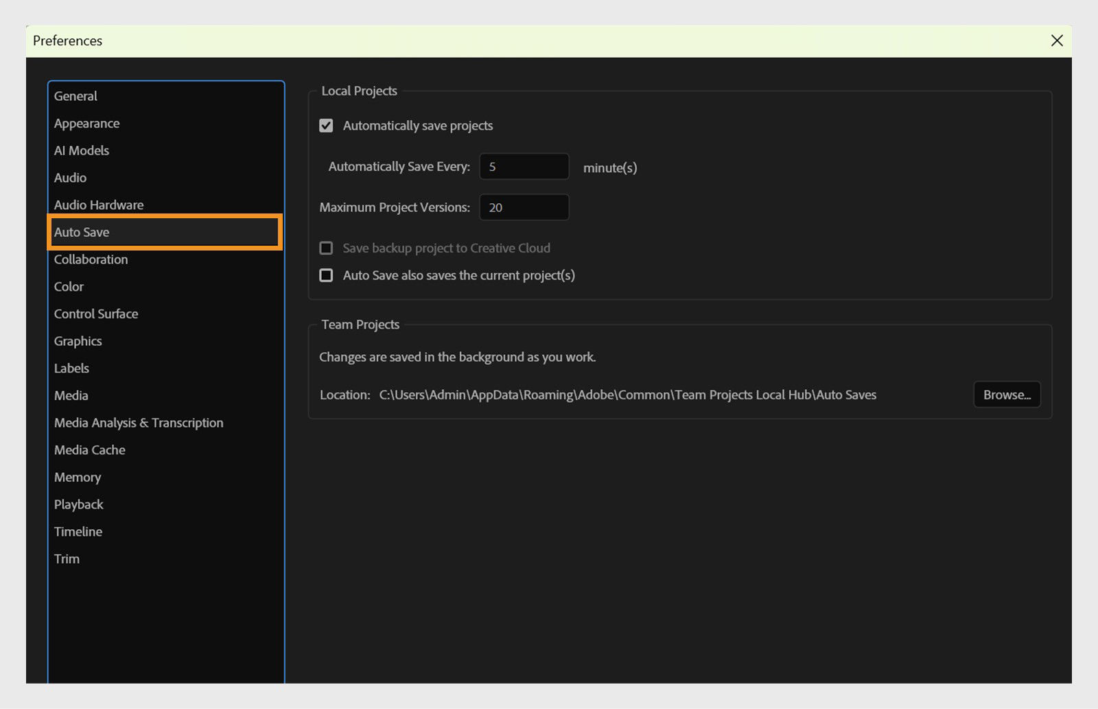 The Preferences dialog box displays the Auto Save panels with options such as Automatically save projects, Maximum Project Versions, and more.     