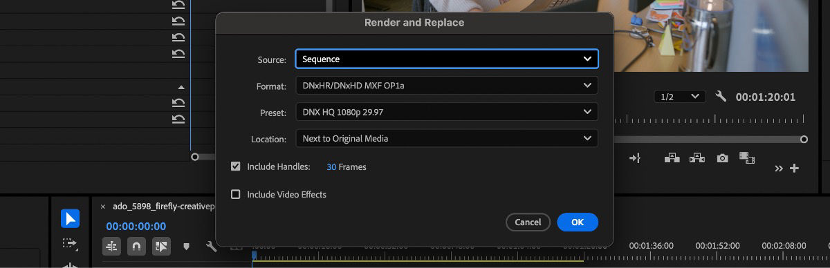 The Render and Replace dialog box displays settings such as Source, Format, Preset, Location, and several others that you can adjust.