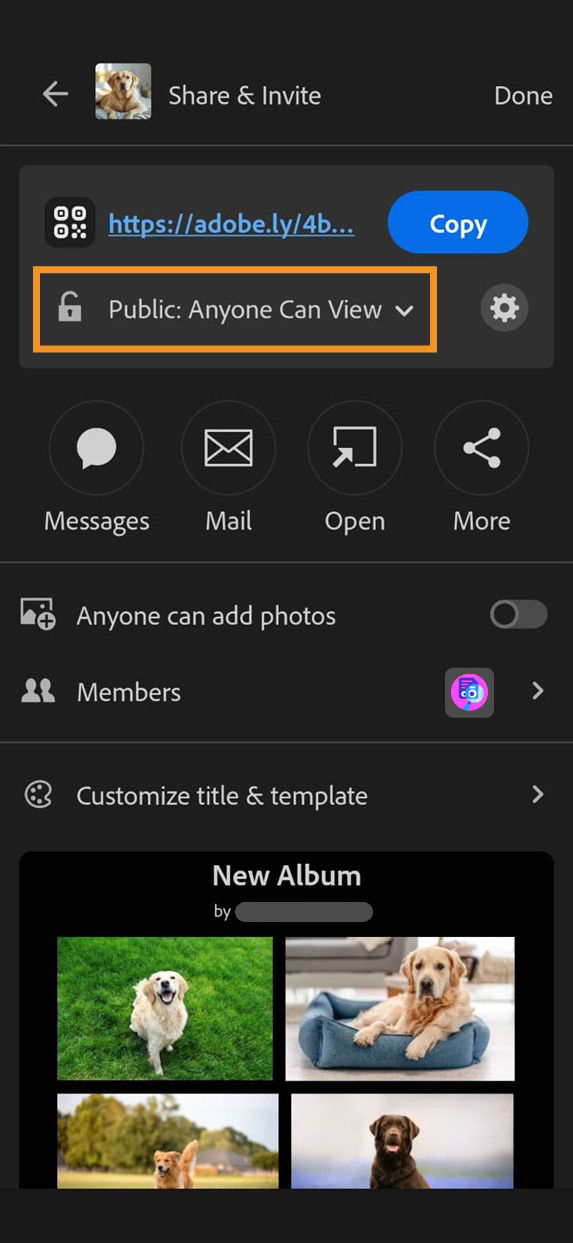 The Share & Invite panel showing album sharing options with Link Access feature set to Public: Anyone Can View highlighted.