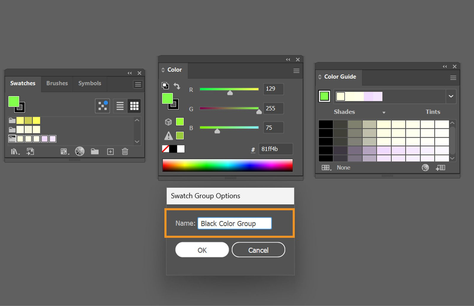 The Swatch Group Options dialog displays the name entered in the Name field. Color panel, Color Guide panel and Swatches panel are also open.