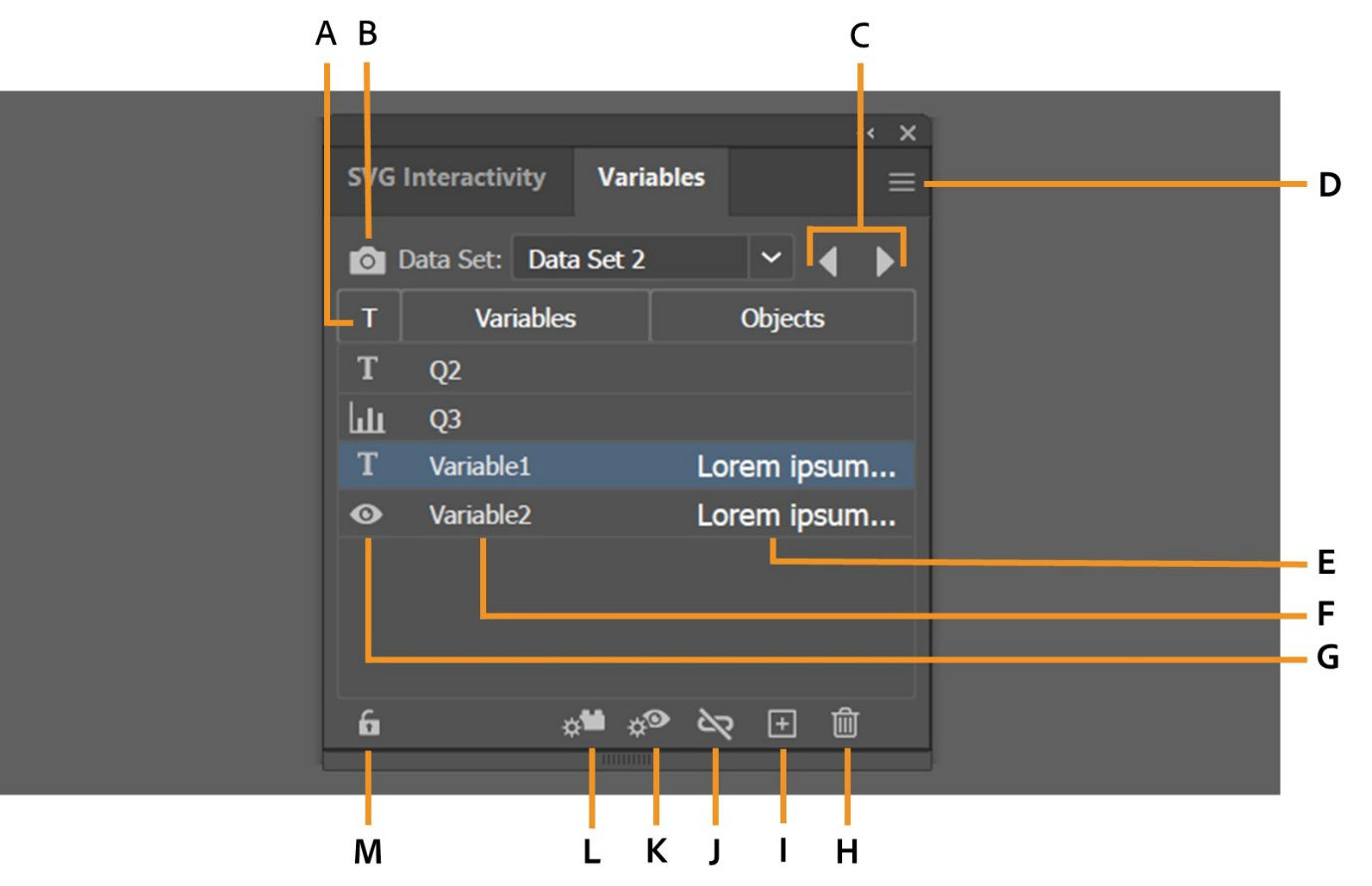 The Variables panel displays callouts for various options.