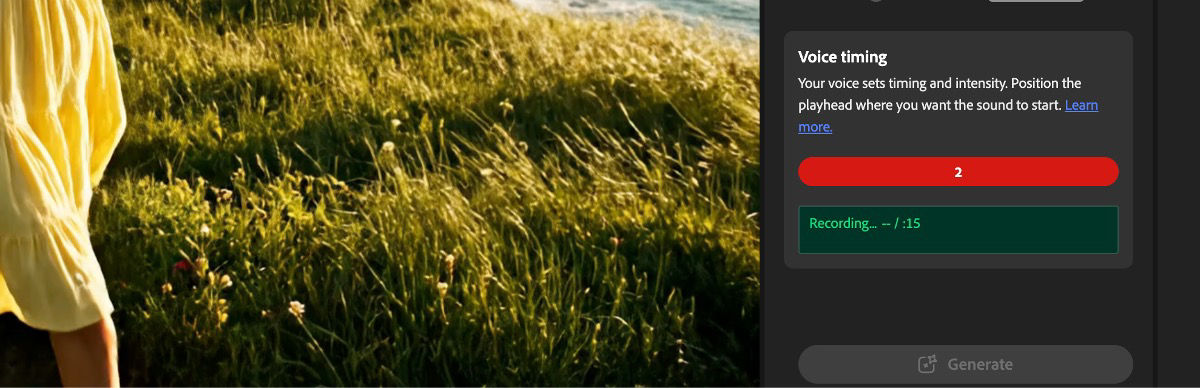 The Voice timing section in the right panel shows a red button with a countdown timer and a recording indicator.