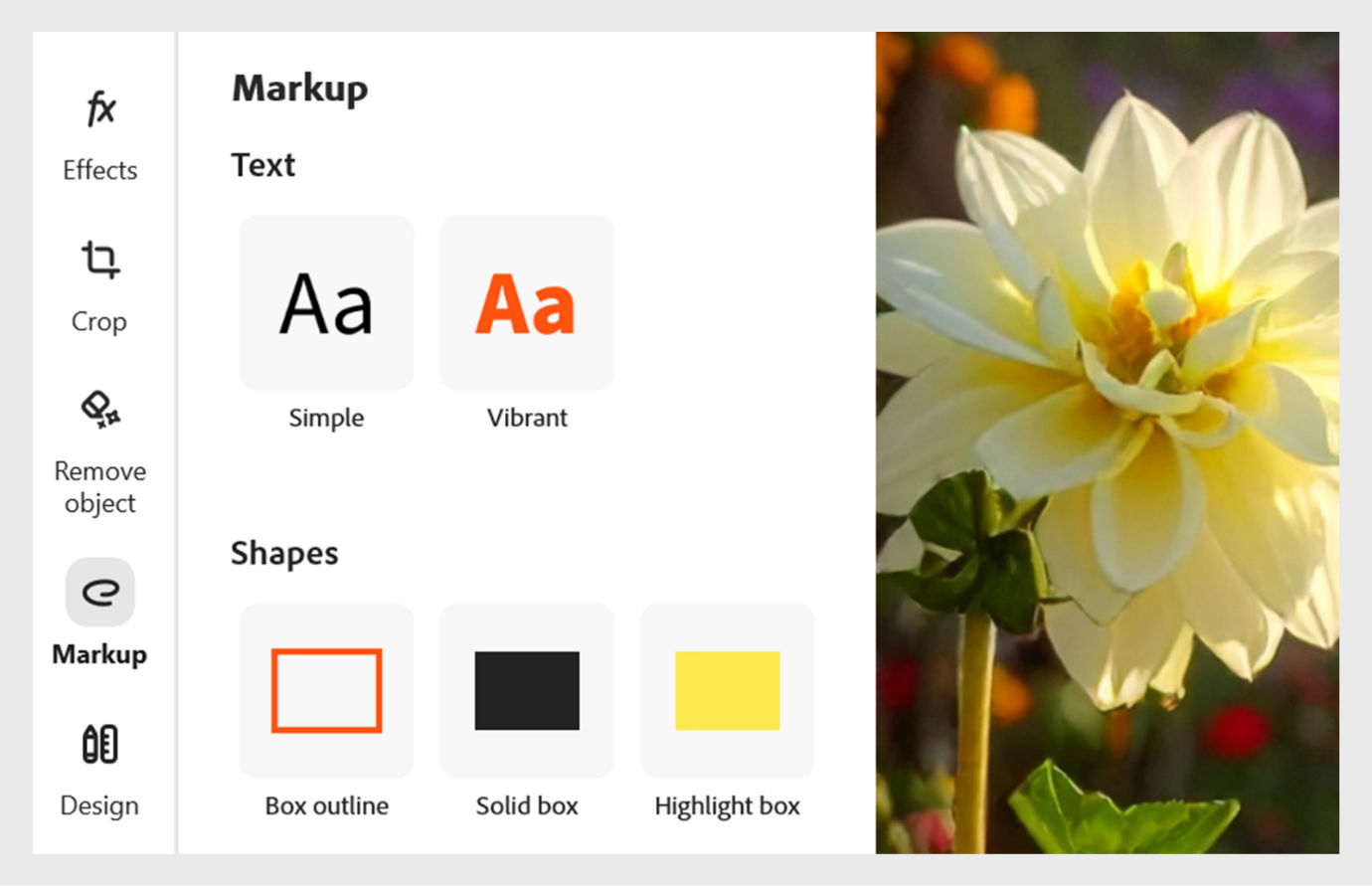 The image shows the Markup section with the Text and Shapes section. The Text section includes two text styles to add to your image, Simple and Vibrant. 