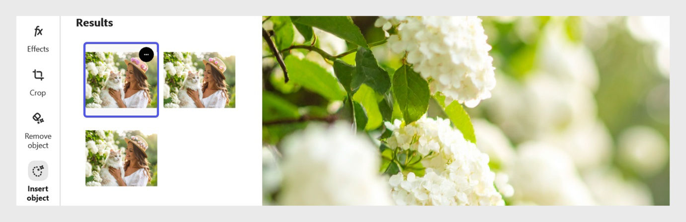 The image shows the Results of the image with the object inserted on the highlighted area on the left side and the image on the right side.  