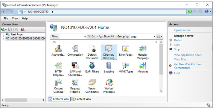 The screen displays the Directory Browsing icon on home screen for the selected server.