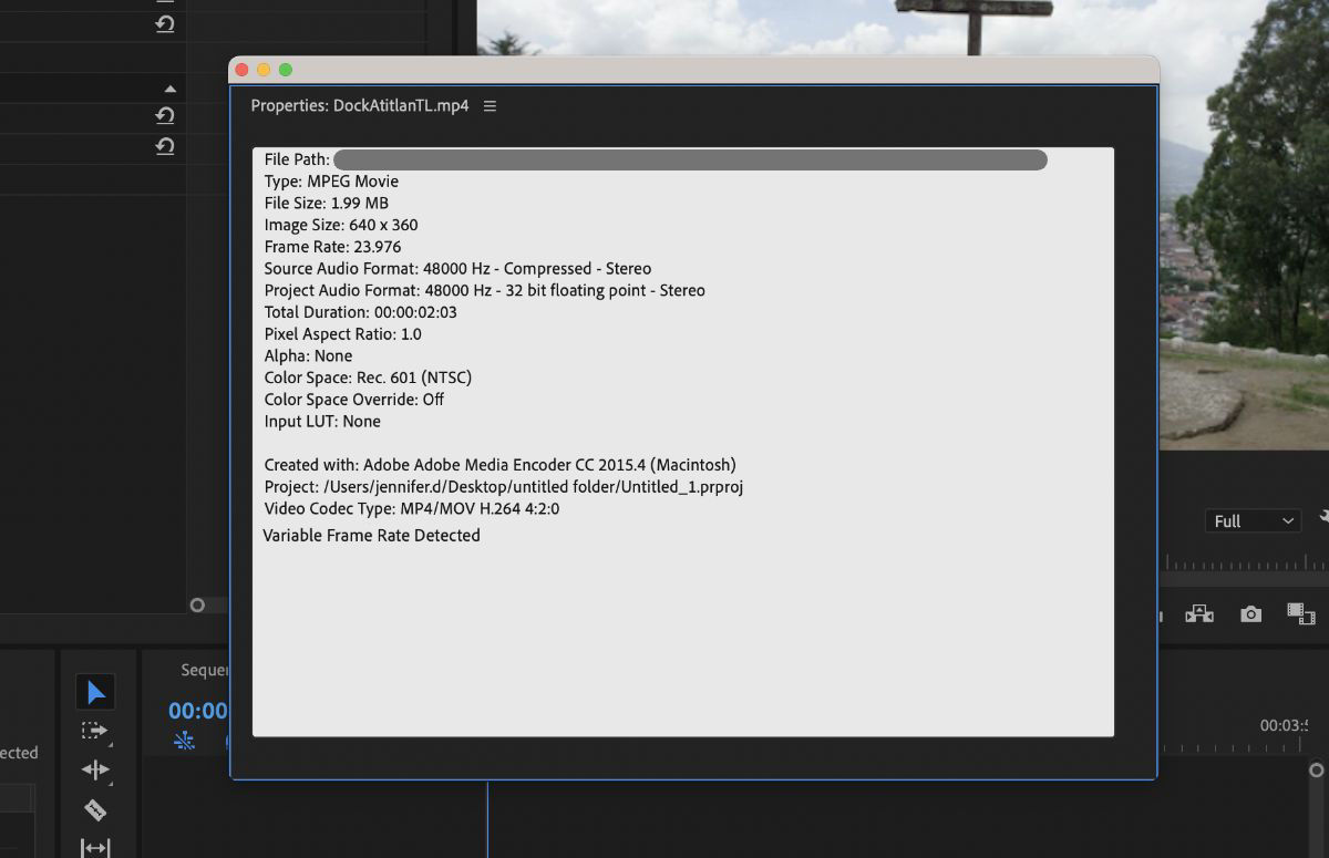 The screesnhot shows the Properties panel indicating VFR footage.