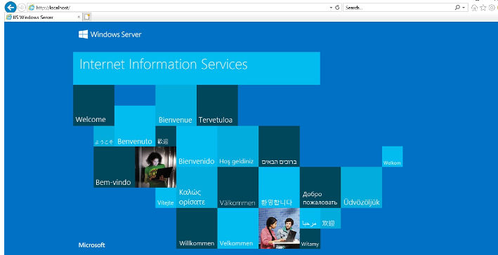 This screen is displayed when the web server is working as expected.