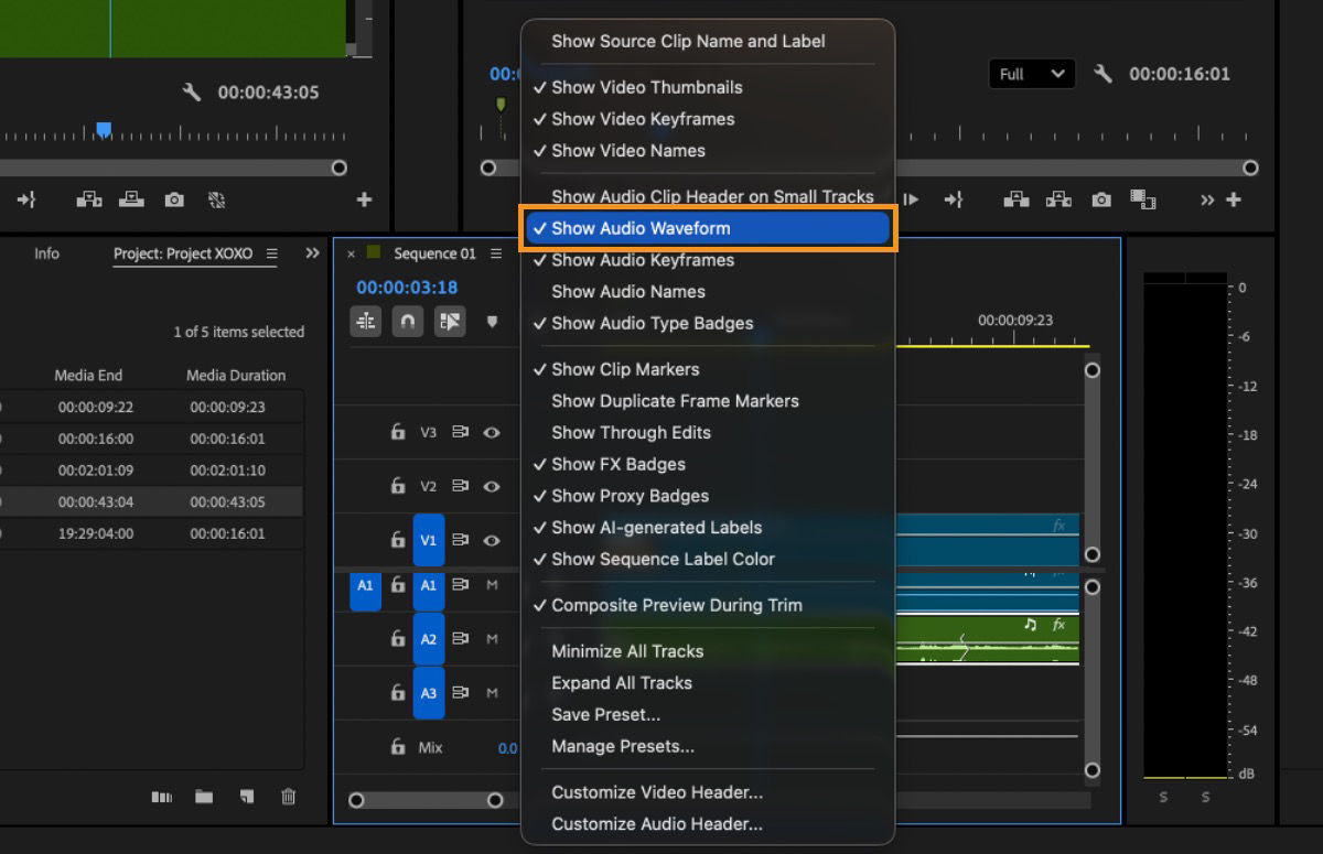 Timeline Display Settings menu with Show Audio Waveform selected to display waveforms in audio tracks.