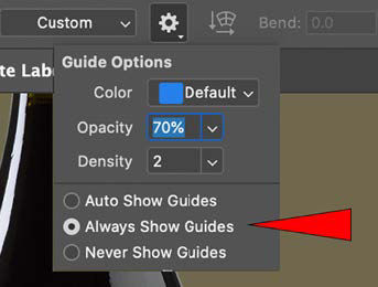 Transform Warp Guide options