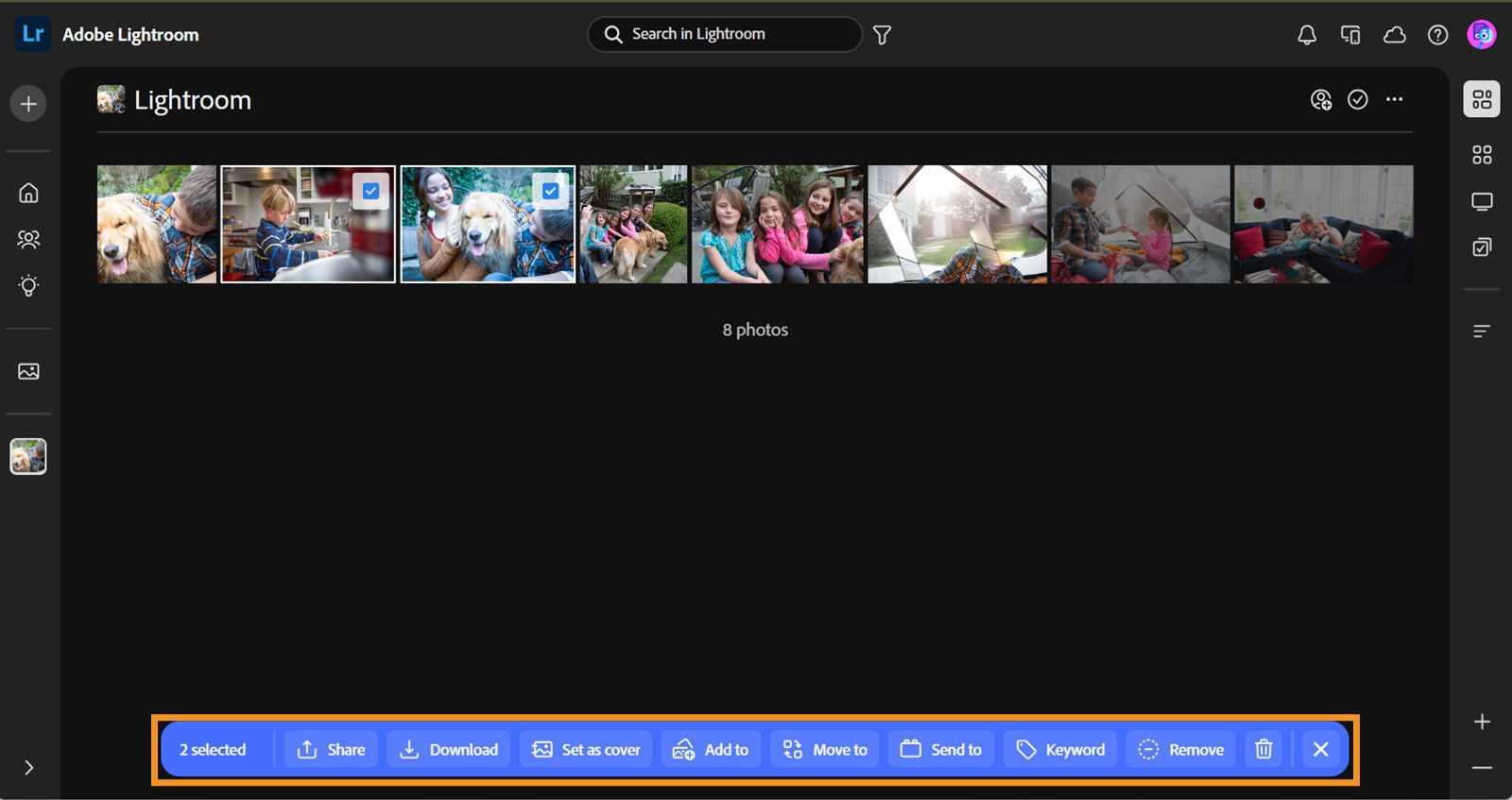 Two images are selected in the shared albums view, with a highlighted blue bar with the options for actions such as share, download, set as cover, add to, move to, send to, keyword, remove, and delete.