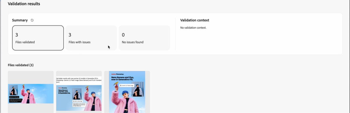Validation results screen displays summary metrics such as files validated, files with issues, and a list of validated assets.