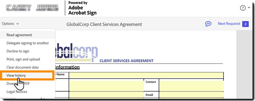The e-sign page with the Options menu expanded and the "View history" option highlighted.