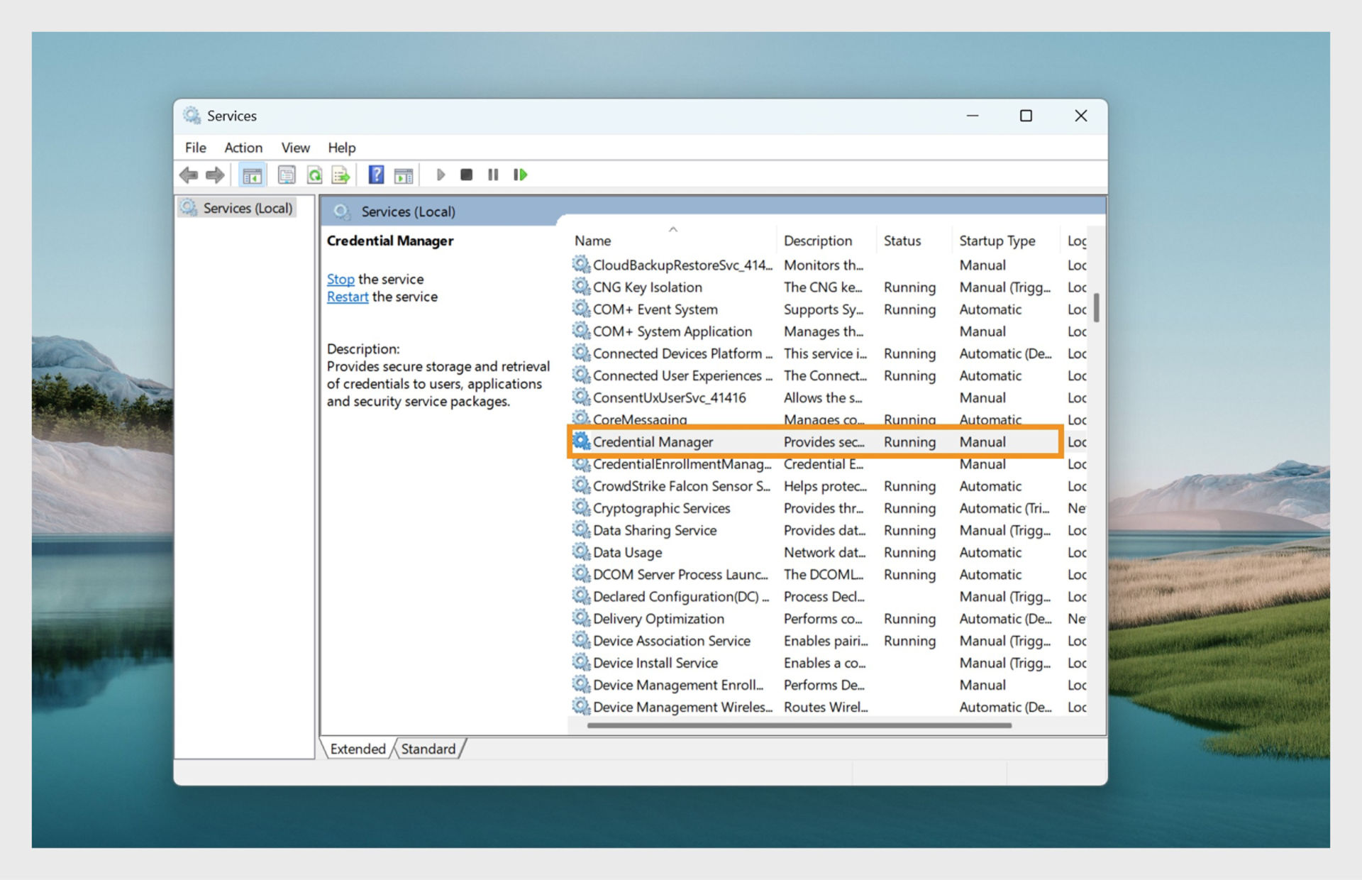 Windows Services Manager window displaying a list of services. 