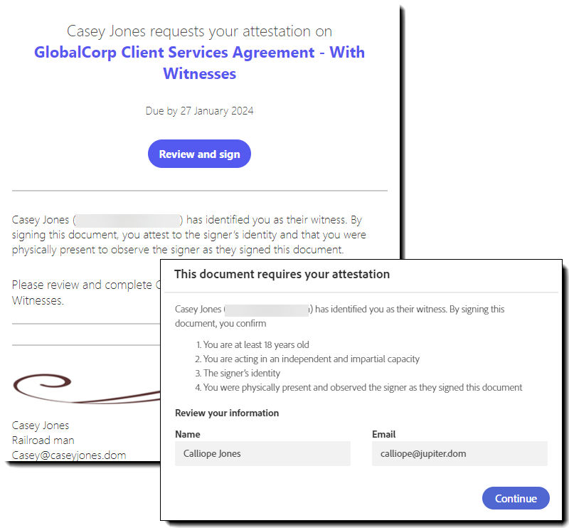 The witness's email and the input interface to capture their address and occupation