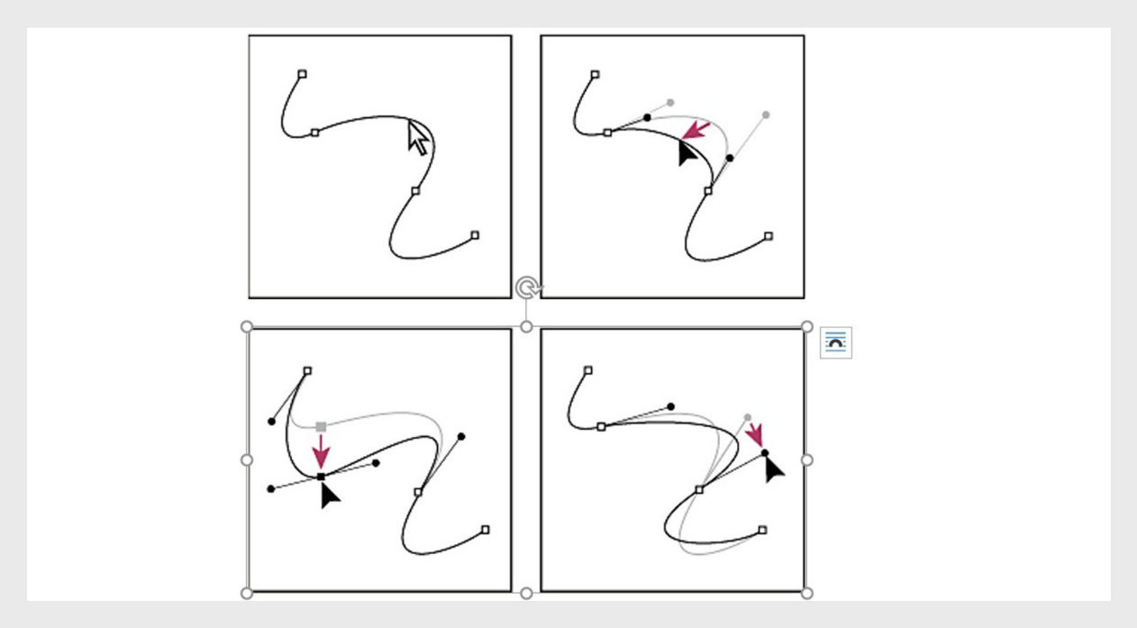 You can also apply a transformation, such as scaling or rotating, to a segment or anchor point.