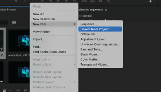 Context menu for linked team project