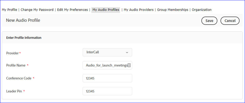 New Audio Profile window with provider-specific fields
