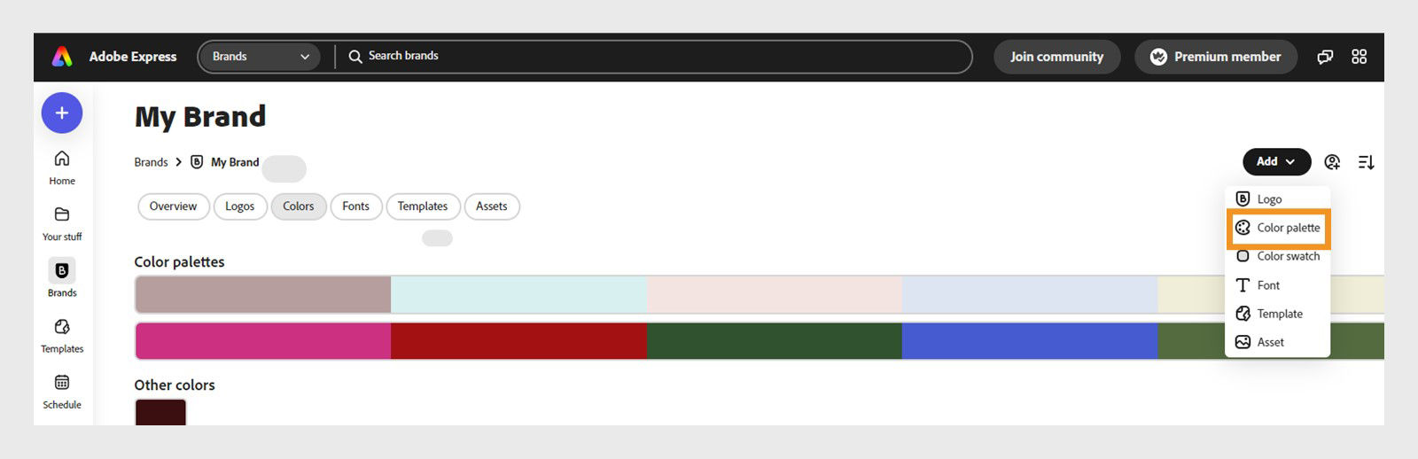 Brands panel open in Adobe Express with mltiple color palletes and an Add button dropdown open with Color pallette highlighted.