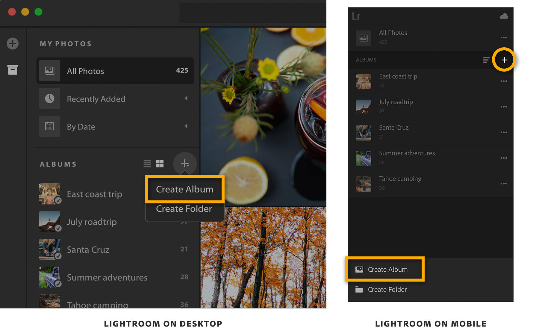 Click the + button, Create Album on mobile device or computer to create an album.