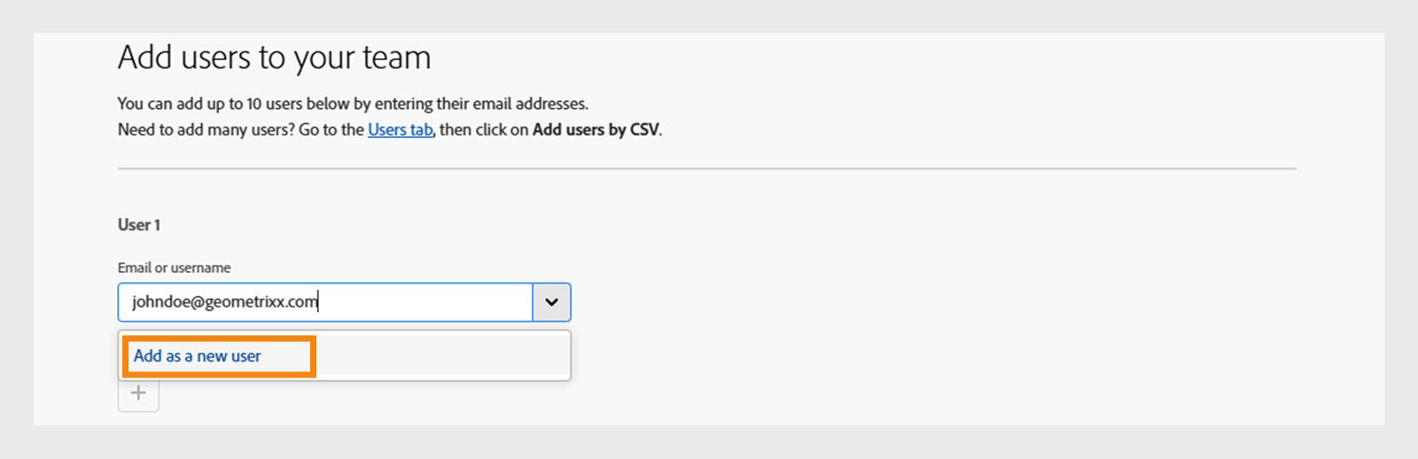 Add users dialog box with the Add as a new user option highlighted