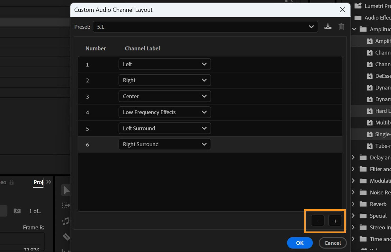 Custom Audio Channel Layout dialog is open, displaying various channels, and the options to add or remove channels are highlighted. 