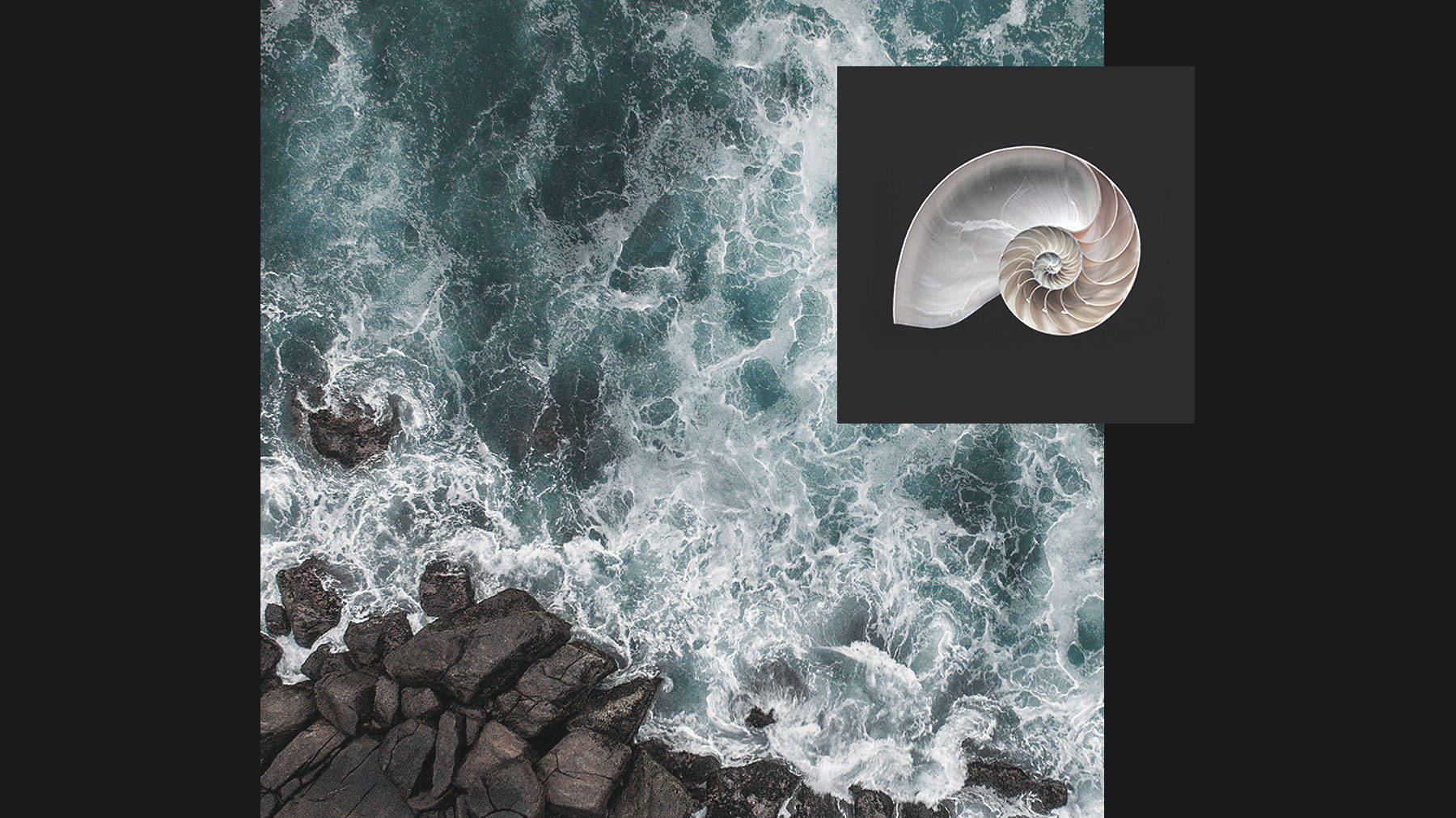 Composition of waves crashing into rocks on black background with shell on black background in upper right corner 