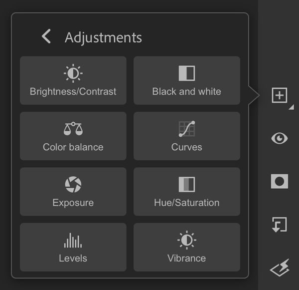 View various adjustment options