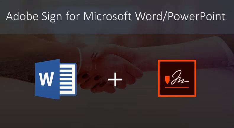 Видео о Word/PowerPoint