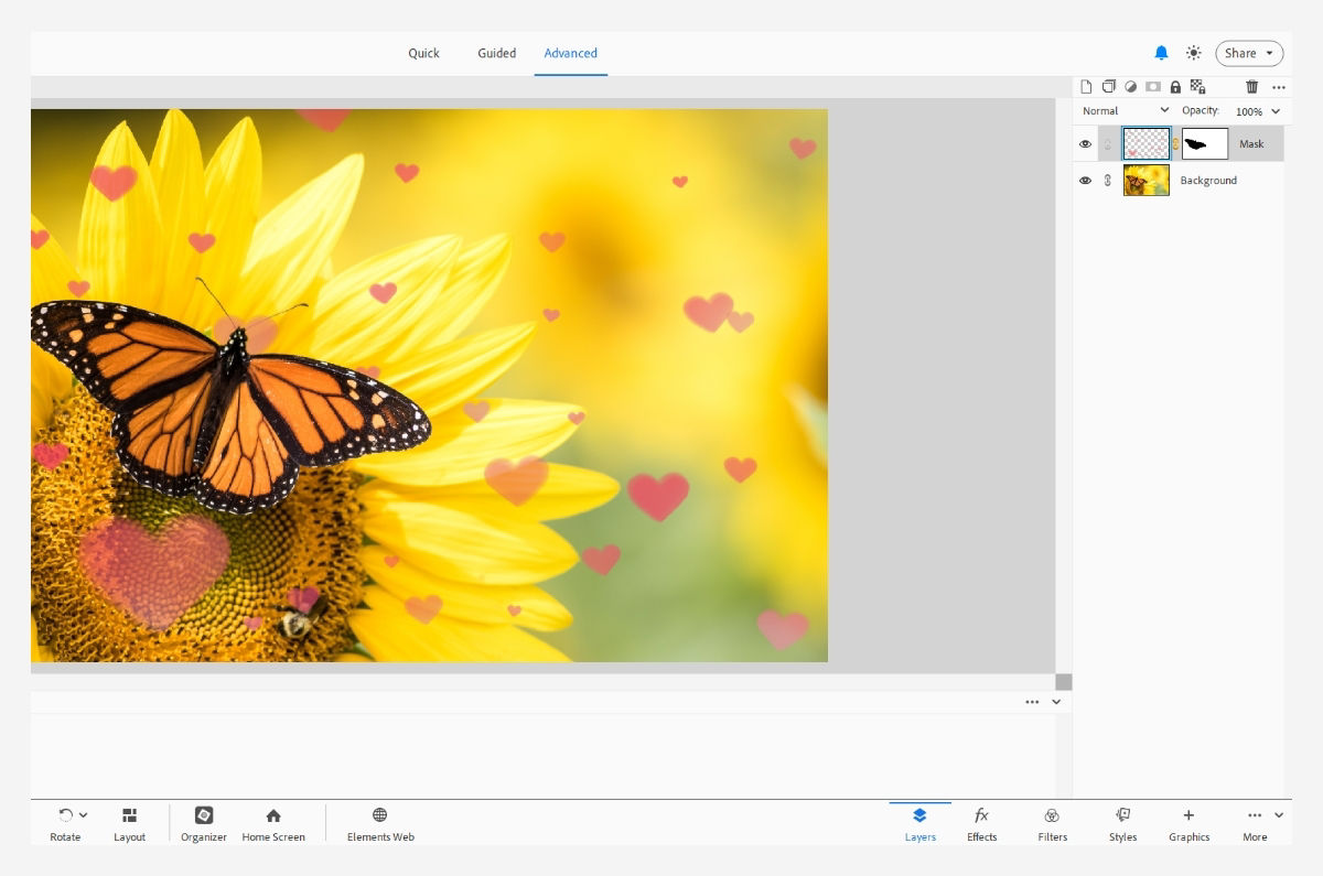 Perform further edits on your creation within Photoshop Elements editor.