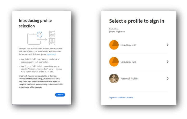 Profile setup for multiple business profiles