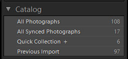 All Synced Photographs collection in the Catalog panel 