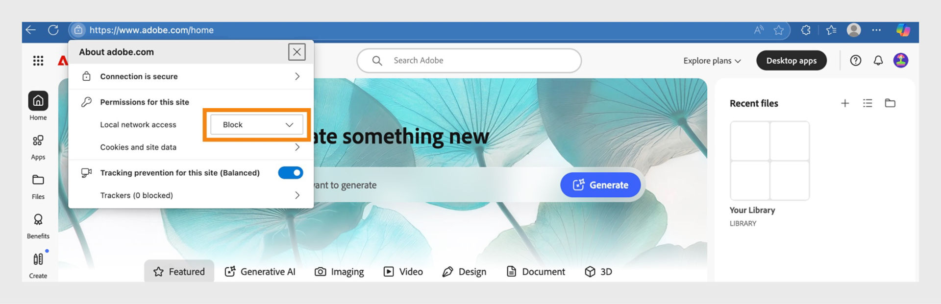 The site information pop-up, which appears at the upper-left corner of the screen, with the highlighted Local network access dropdown menu. 