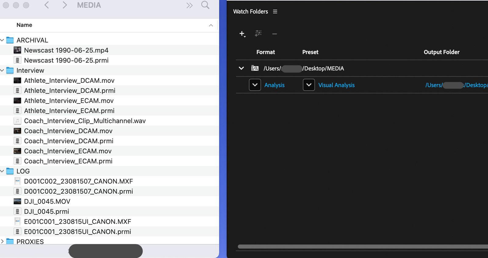 The WatchFolders panel is open and is displaying the media files and it sidecar files. 