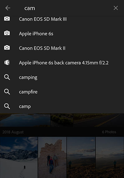 Autocomplete suggestions in Lightroom CC for mobile (Android)