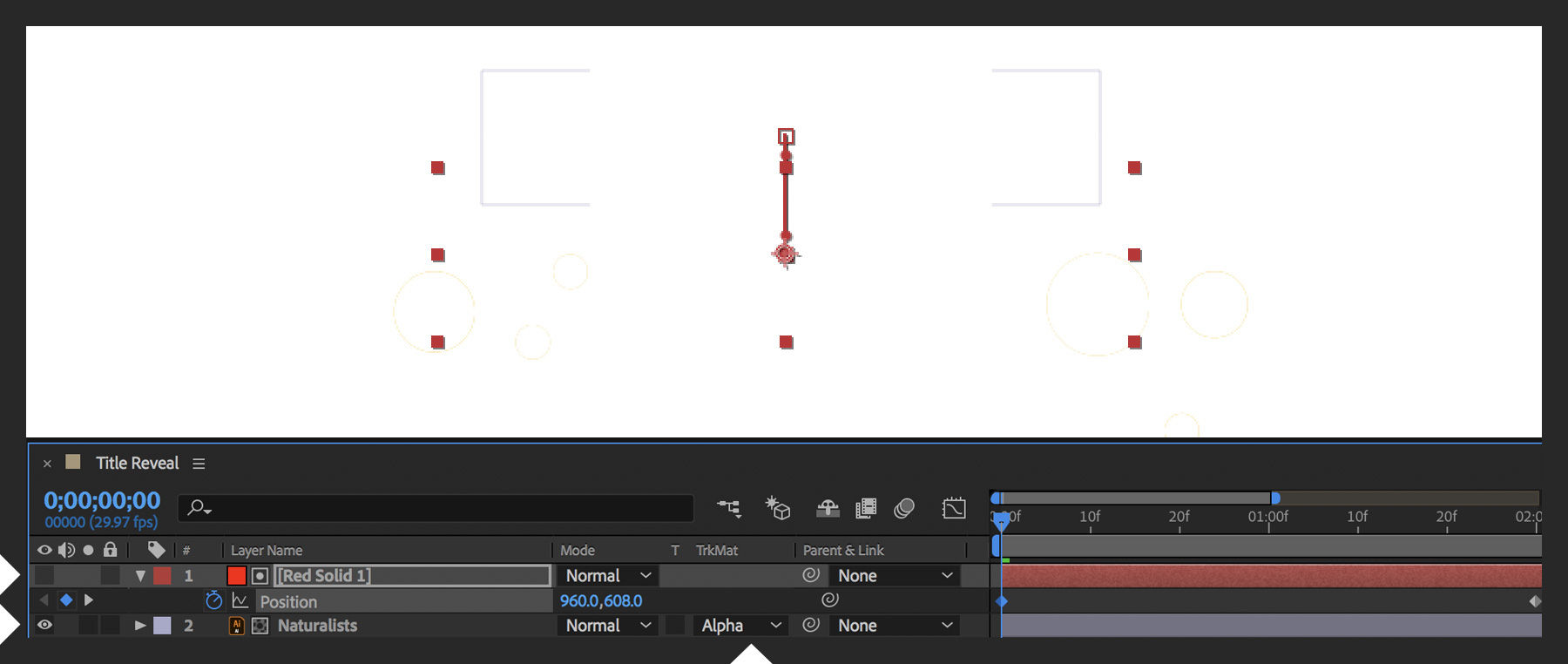 Naturalists text layer is selected and solid is placed above it. Position keyframe is added, solid layer becomes Alpha Matte