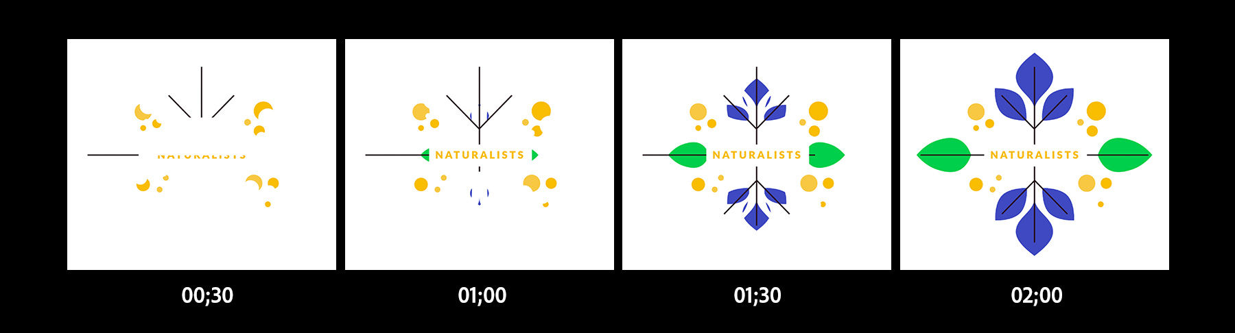 Naturalists logo slowly appears over two minutes with blue and green leaves, yellow circles around it.
