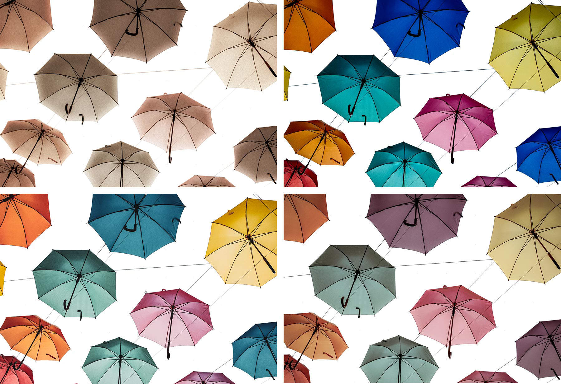 Four thumbnails of umbrellas with different Camera Raw Filter presets shown