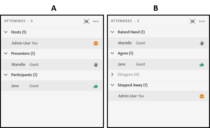 Use the Attendee Pod to monitor names, roles, and discussion status.