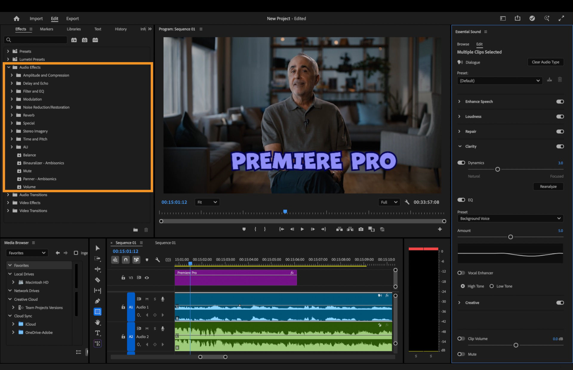 Highlighted view of the Audio Effects panel in Premiere Pro, showing expandable categories including Amplitude and Compression, Delay and Echo, Filter and EQ, Modulation, Reverb, and others.