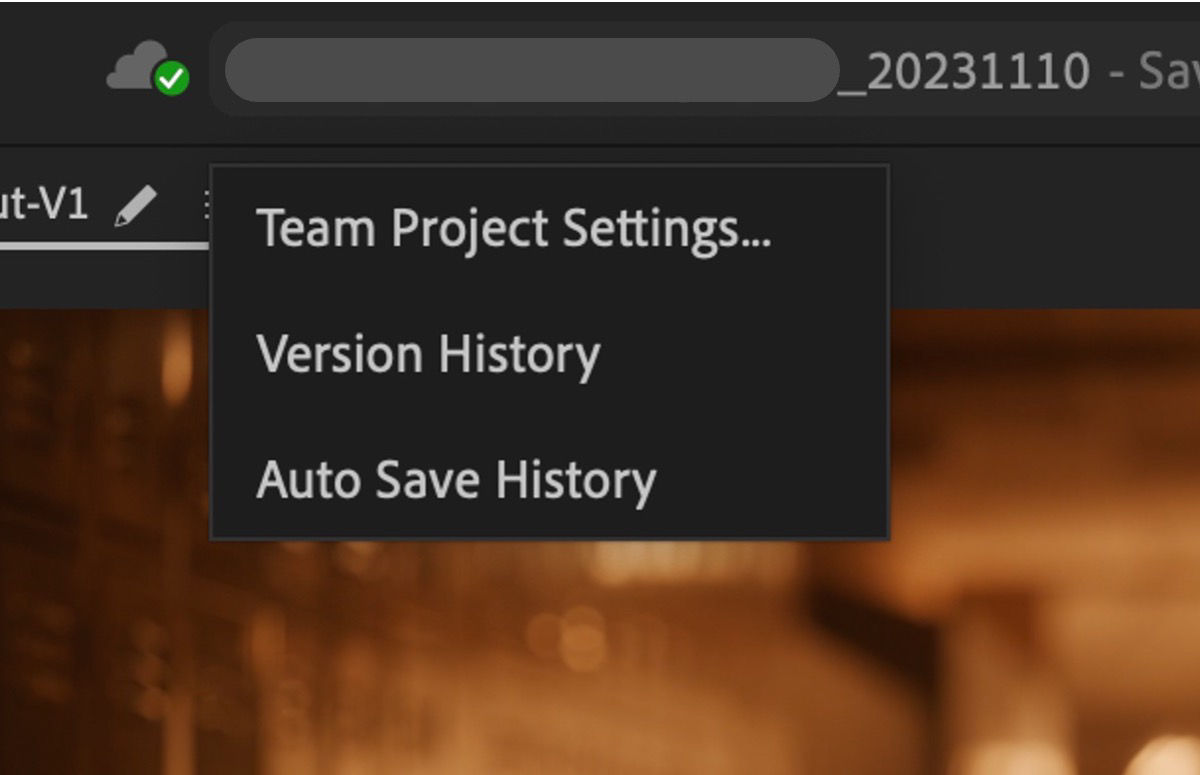 UI shows the Team Projects Settings, Version History, and Auto Save History open from the Premiere Pro header bar.