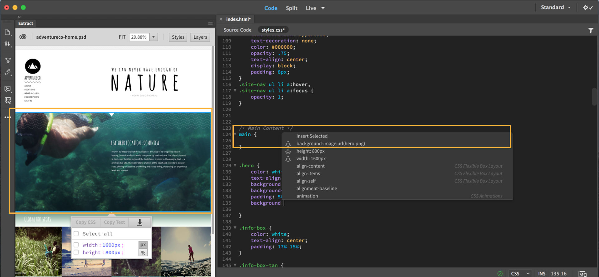 Extracting images using code hints